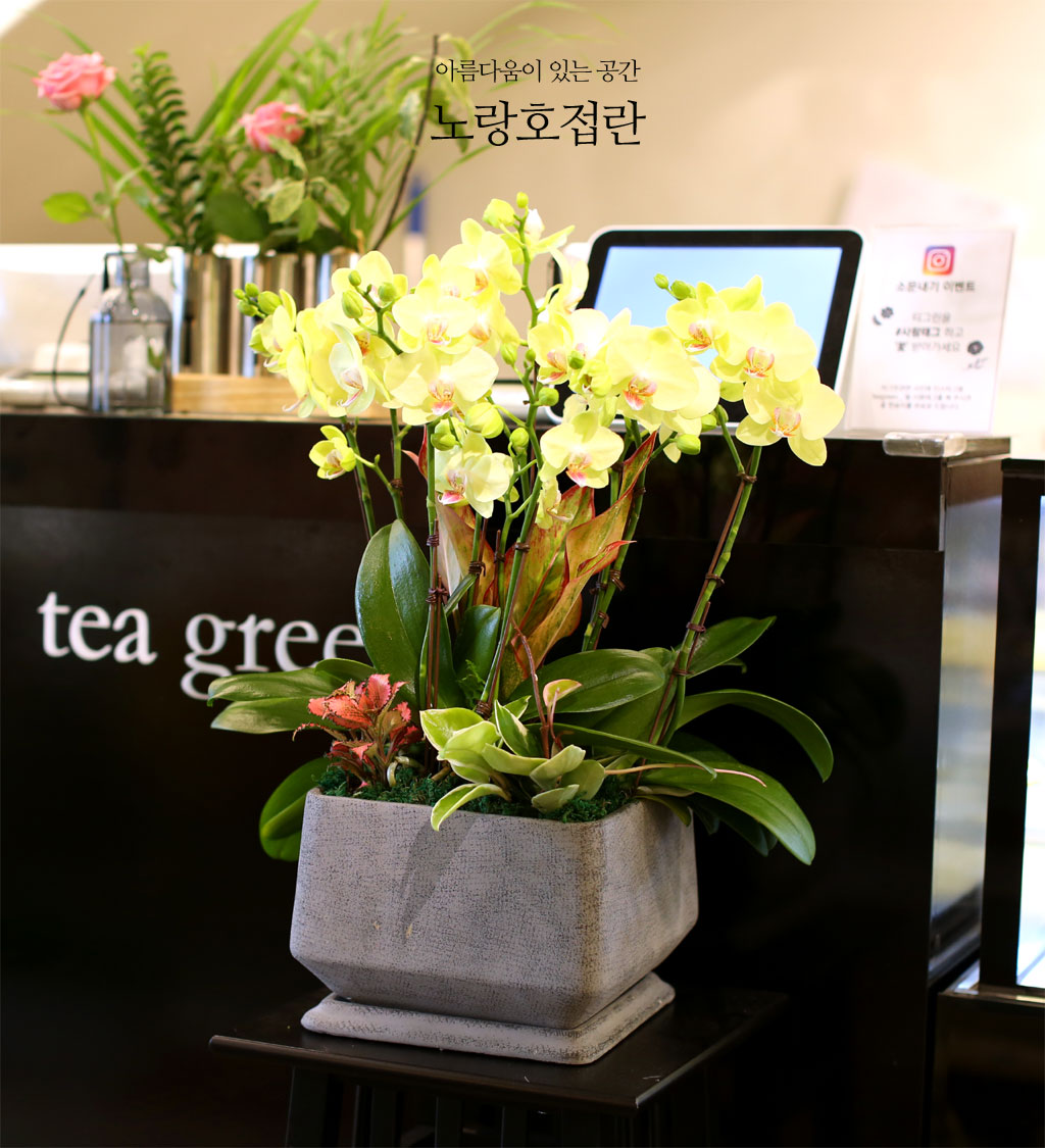 ¾Æ¸§´Ù¿òÀÌ ÀÖ´Â °ø°£ - ³ë¶ûÈ£Á¢¶õ(*ȱ⠴ÜÁ¾À¸·Î ´Ù¸¥ ȱâ·Î ´ëüµÊ) ²ÉÁý ²É¹è´Þ