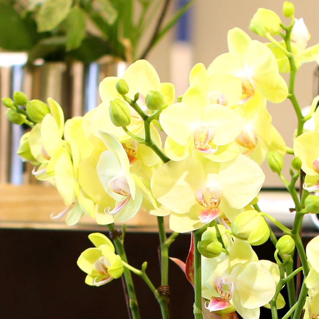 ¾Æ¸§´Ù¿òÀÌ ÀÖ´Â °ø°£ - ³ë¶ûÈ£Á¢¶õ(*ȱ⠴ÜÁ¾À¸·Î ´Ù¸¥ ȱâ·Î ´ëüµÊ) ²ÉÁý ²É¹è´Þ