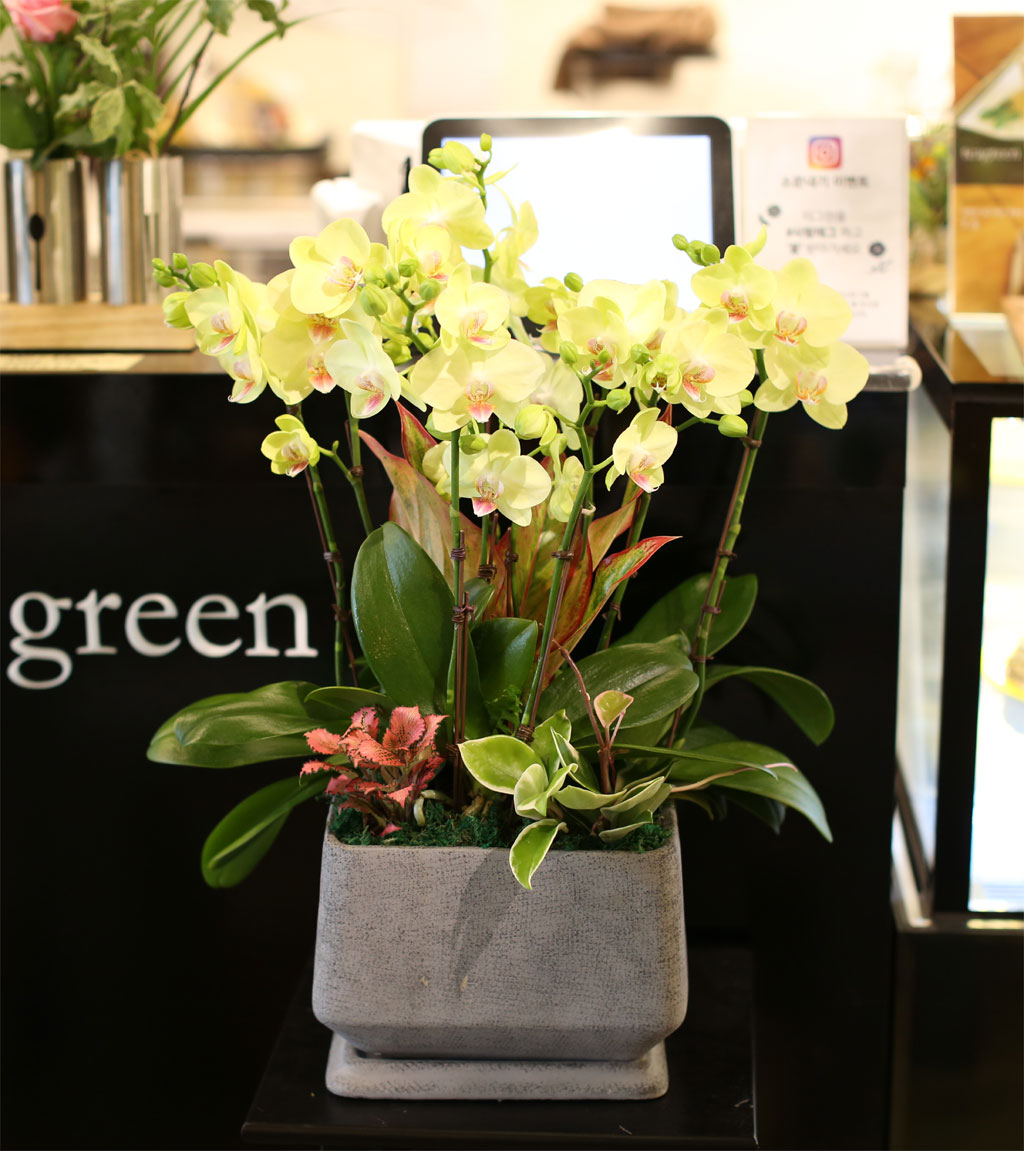 ¾Æ¸§´Ù¿òÀÌ ÀÖ´Â °ø°£ - ³ë¶ûÈ£Á¢¶õ(*ȱ⠴ÜÁ¾À¸·Î ´Ù¸¥ ȱâ·Î ´ëüµÊ) ²ÉÁý ²É¹è´Þ