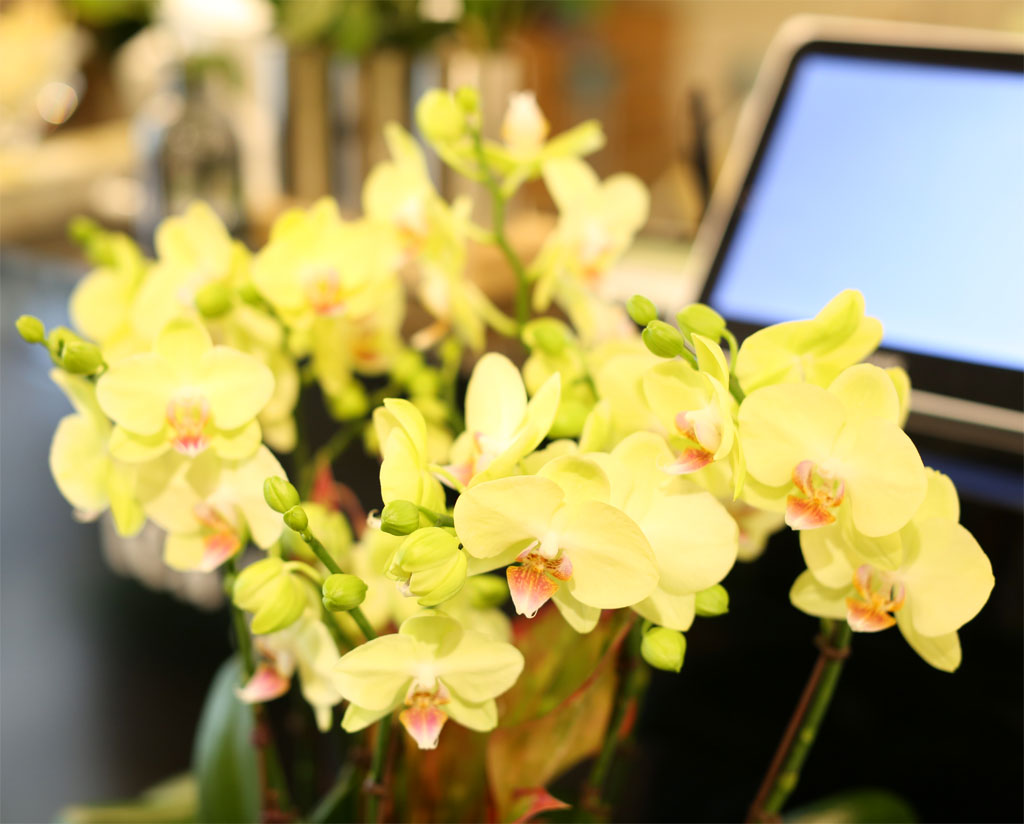 ¾Æ¸§´Ù¿òÀÌ ÀÖ´Â °ø°£ - ³ë¶ûÈ£Á¢¶õ(*ȱ⠴ÜÁ¾À¸·Î ´Ù¸¥ ȱâ·Î ´ëüµÊ) ²ÉÁý ²É¹è´Þ