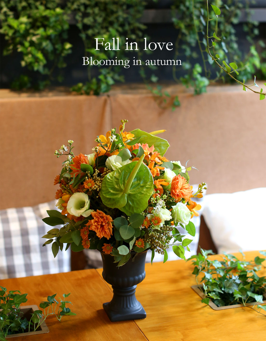 [/ Ϻ]Fall in love - Blooming in autumn