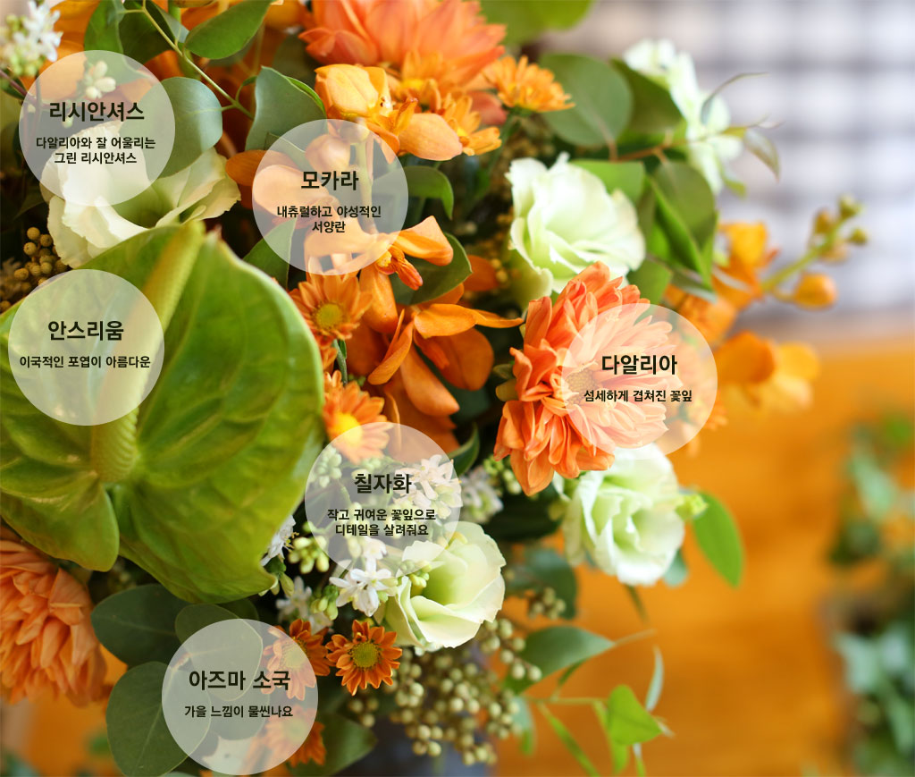 [/ Ϻ]Fall in love - Blooming in autumn