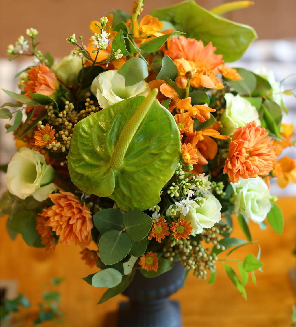 [/ Ϻ]Fall in love - Blooming in autumn