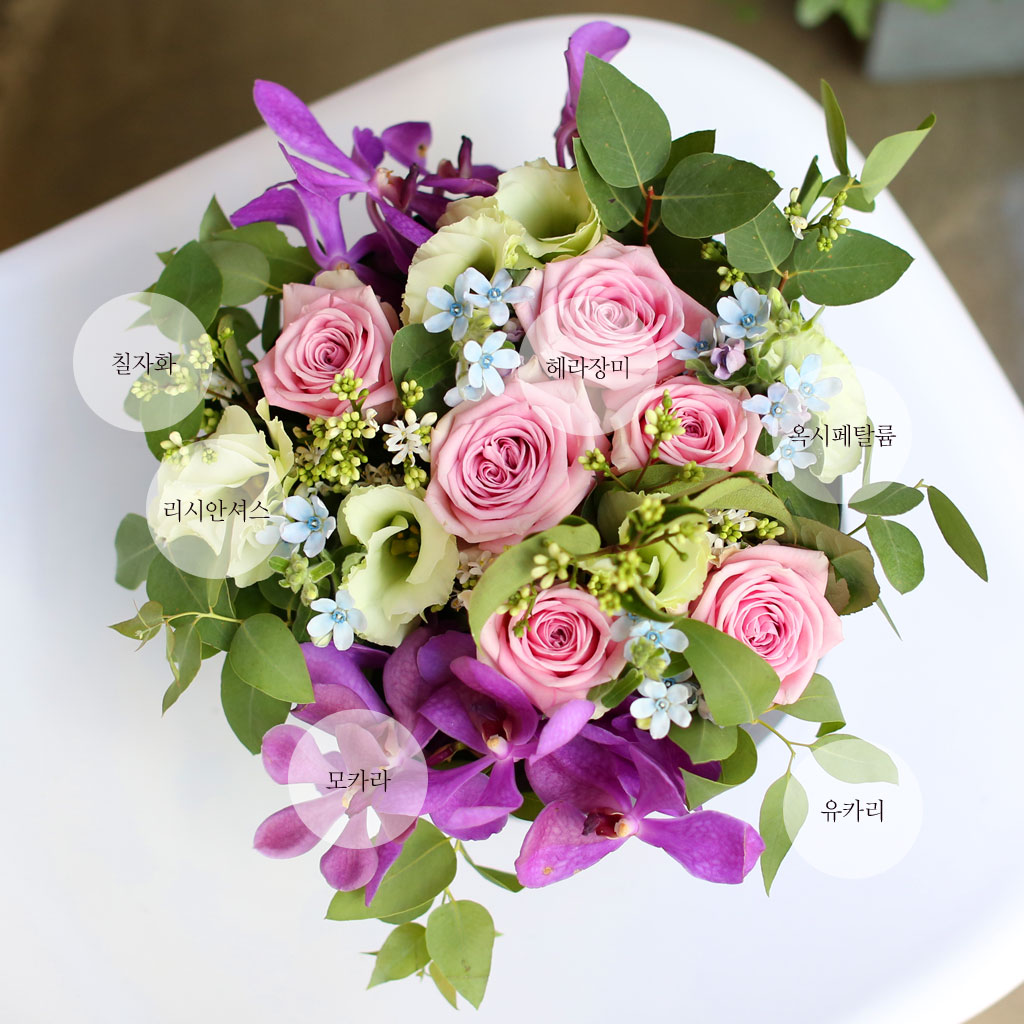 [/ǹ] Yes it is -    ɹ