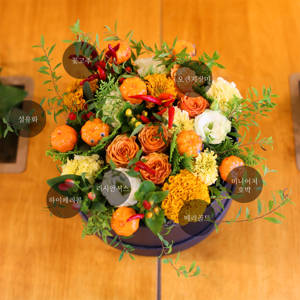 [/ ]HAPPY HALLOWEEN Love pumkin  ɹ