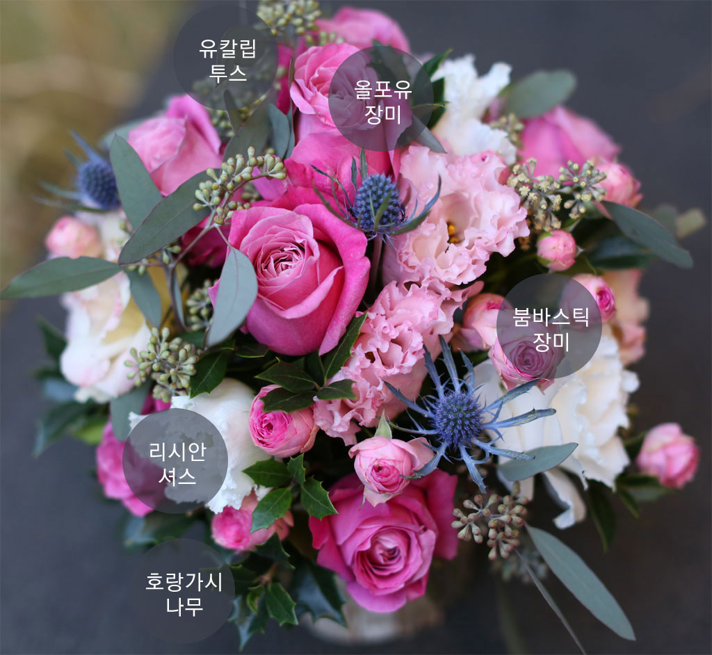 Yes it is - Wonderful christmas