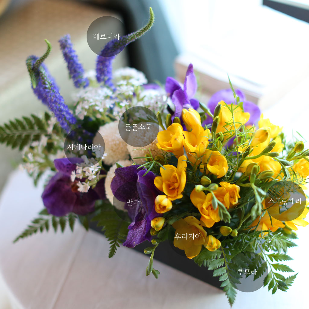 , ɵ  Spring haze  ɹ