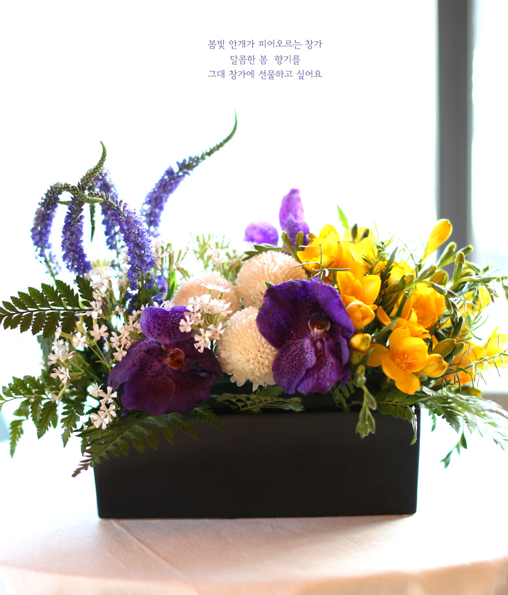 , ɵ  Spring haze  ɹ