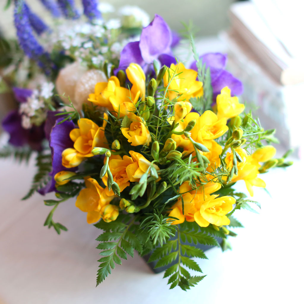 , ɵ  Spring haze  ɹ