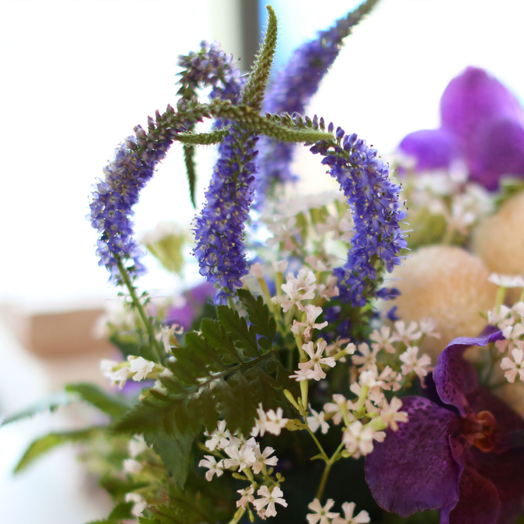 , ɵ  Spring haze  ɹ