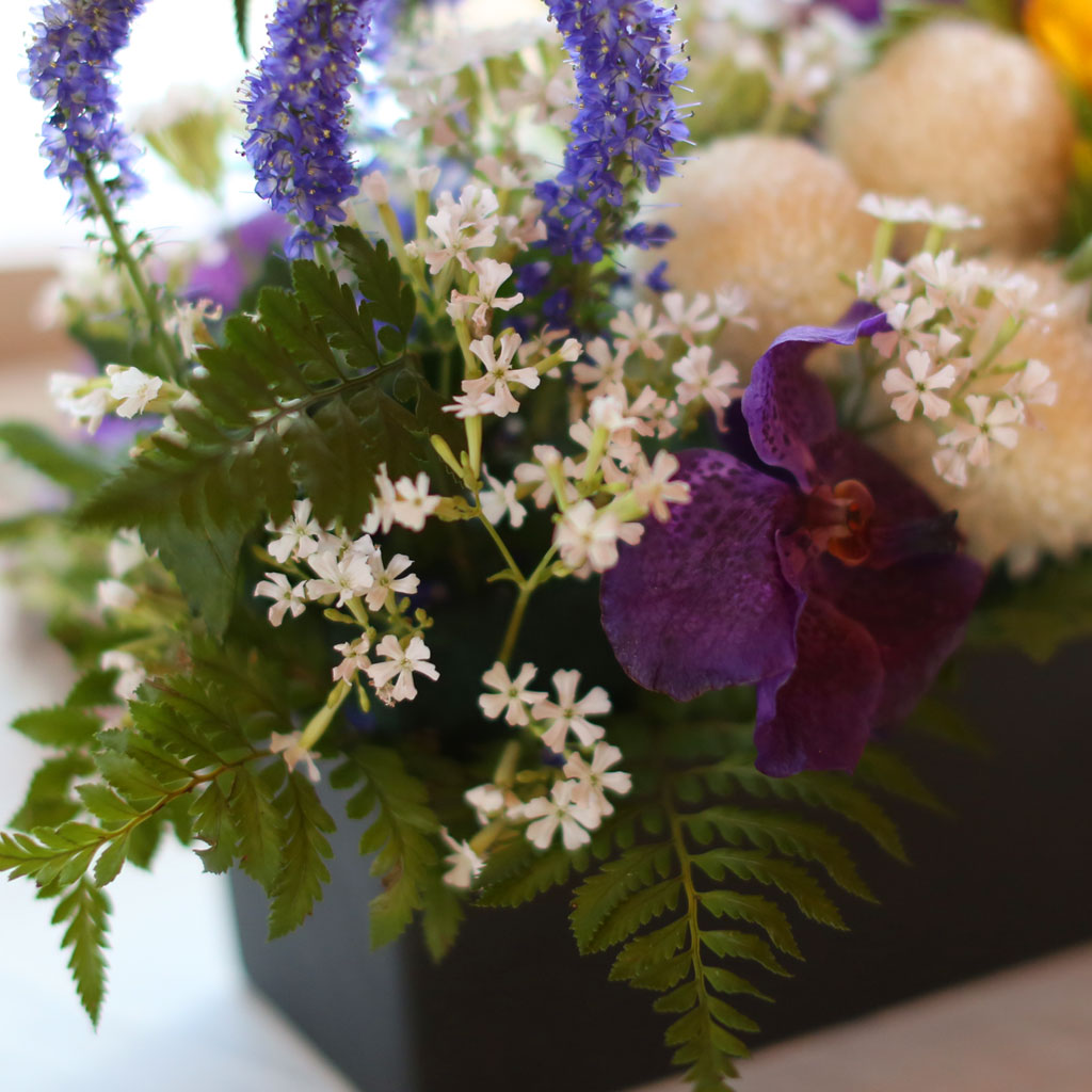 , ɵ  Spring haze  ɹ