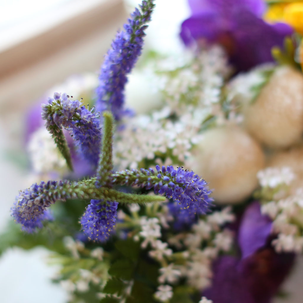 , ɵ  Spring haze  ɹ