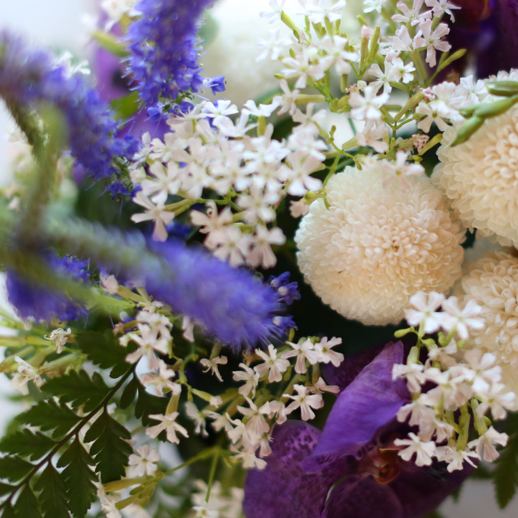 , ɵ  Spring haze  ɹ