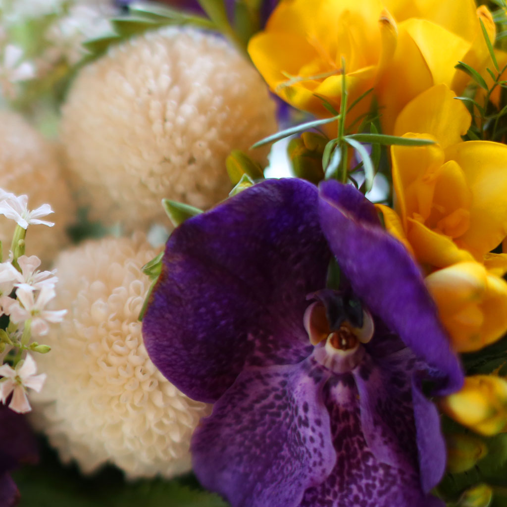 , ɵ  Spring haze  ɹ