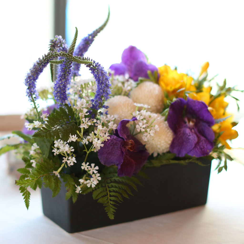 , ɵ  Spring haze  ɹ