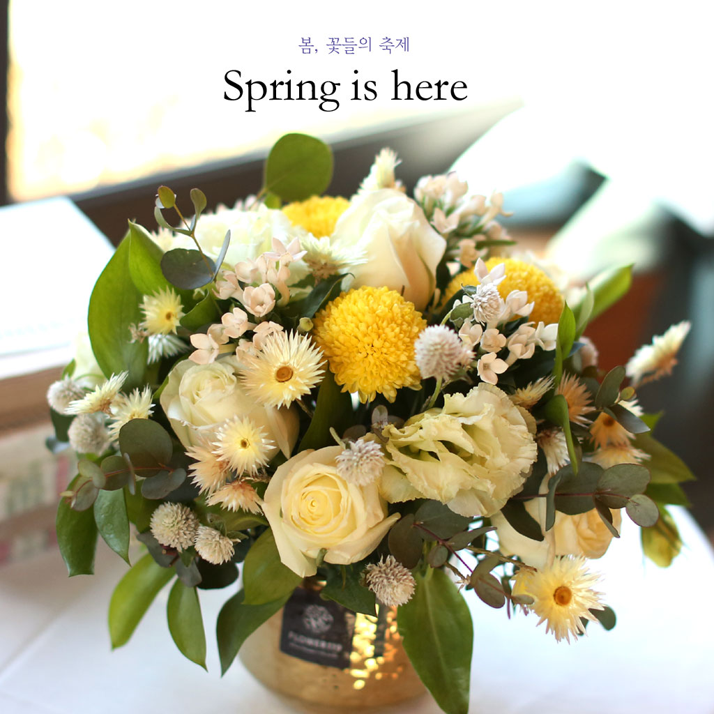 ��,�ɵ��� ����  Spring is here ���� �ɹ��