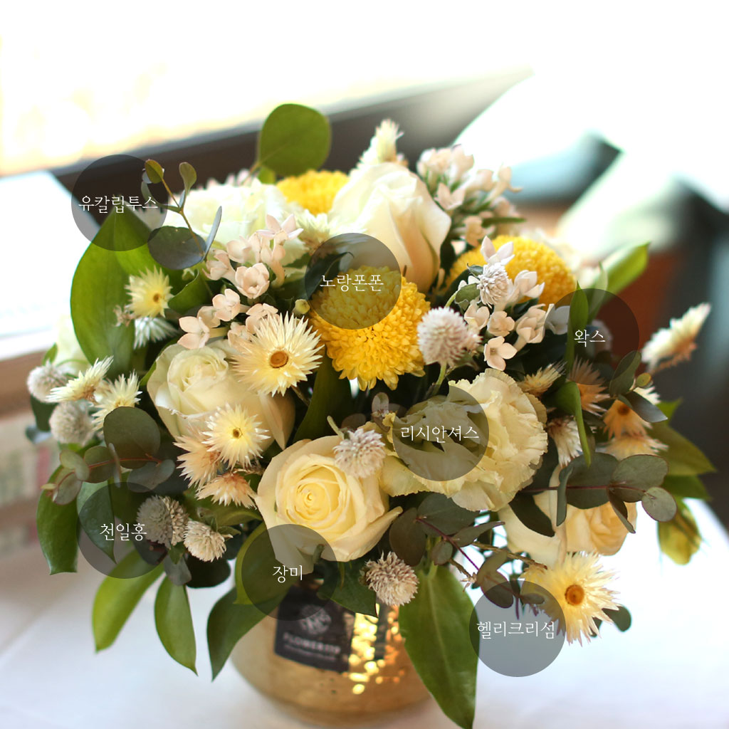 ��,�ɵ��� ����  Spring is here ���� �ɹ��