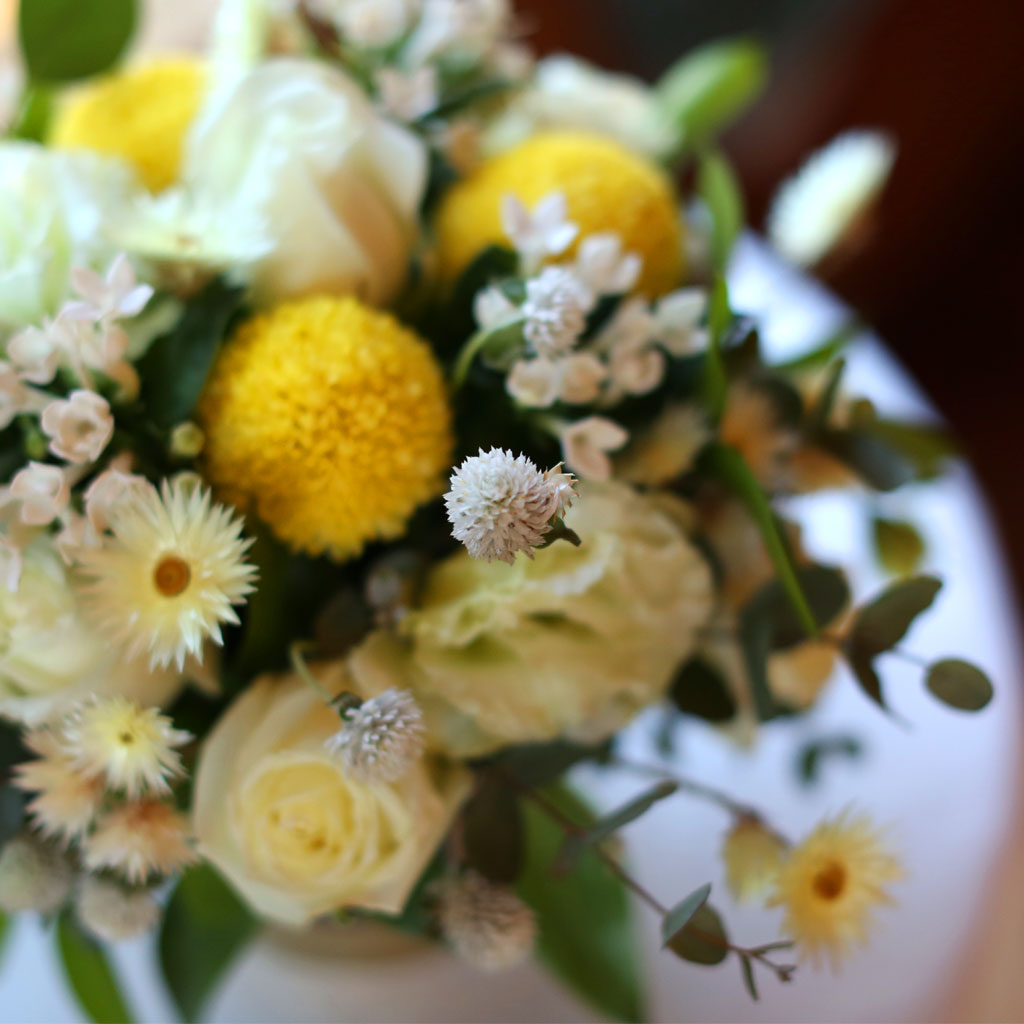 ��,�ɵ��� ����  Spring is here ���� �ɹ��