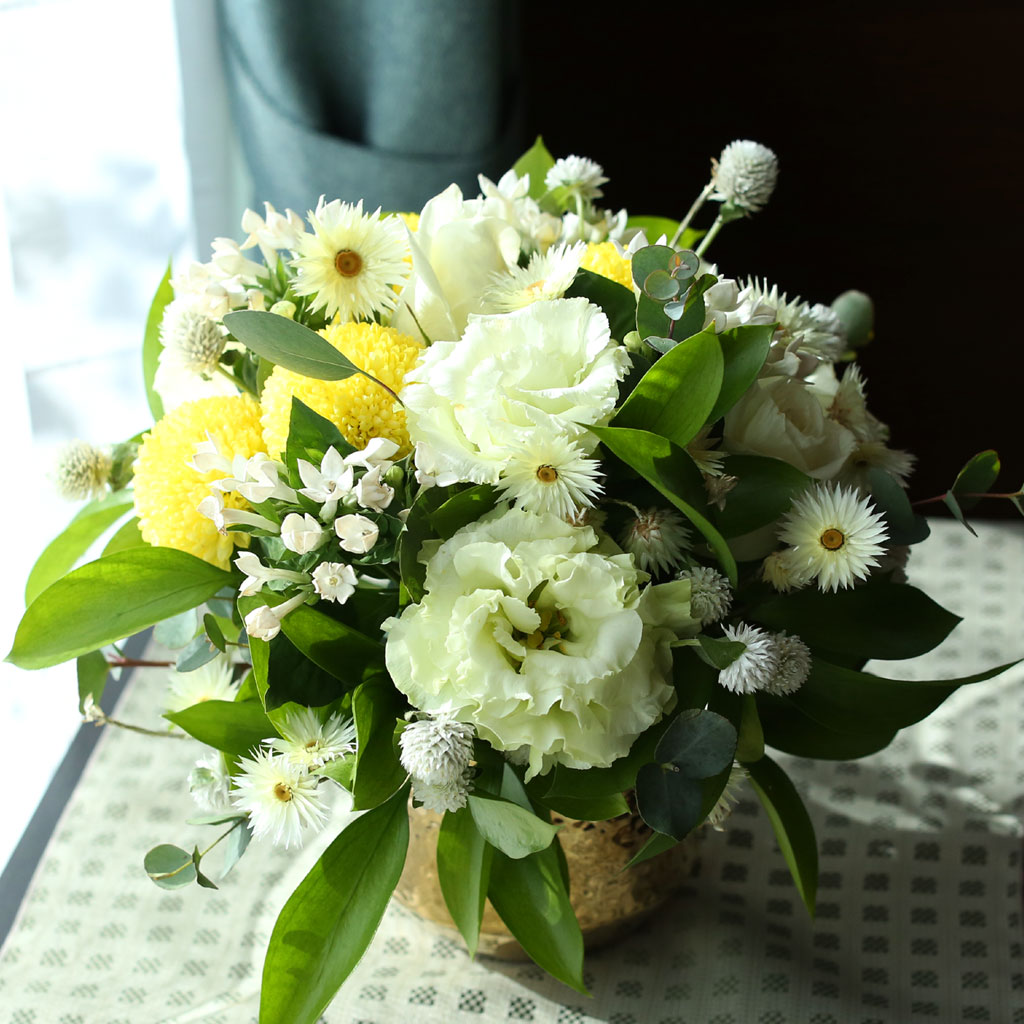 ��,�ɵ��� ����  Spring is here ���� �ɹ��