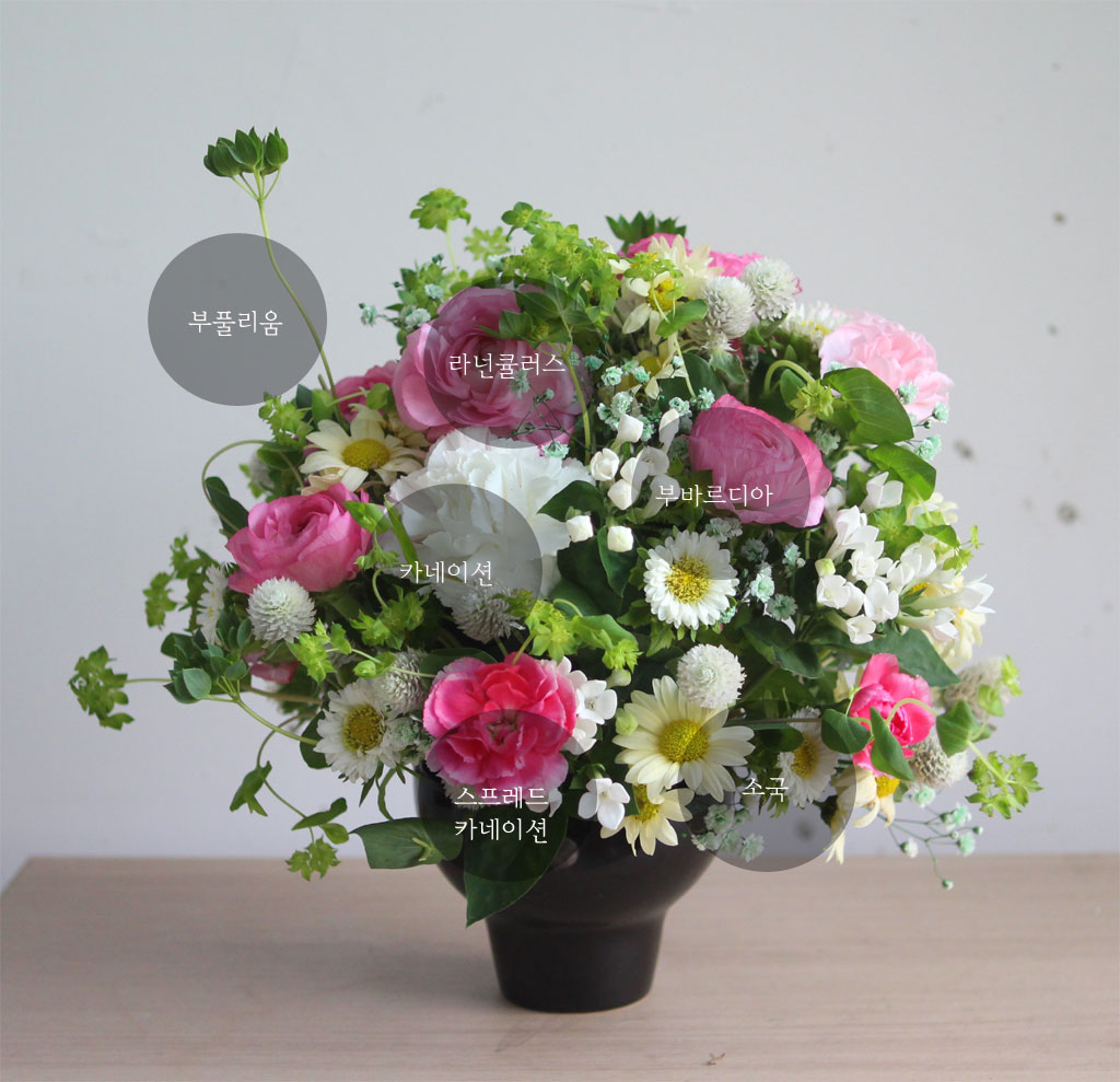 º½,²ÉµéÀÇ ÃàÁ¦  Filled with spring