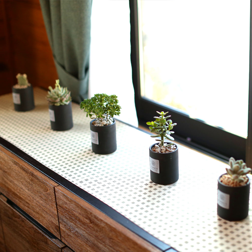 º½,²ÉµéÀÇ ÃàÁ¦ -Spring morning