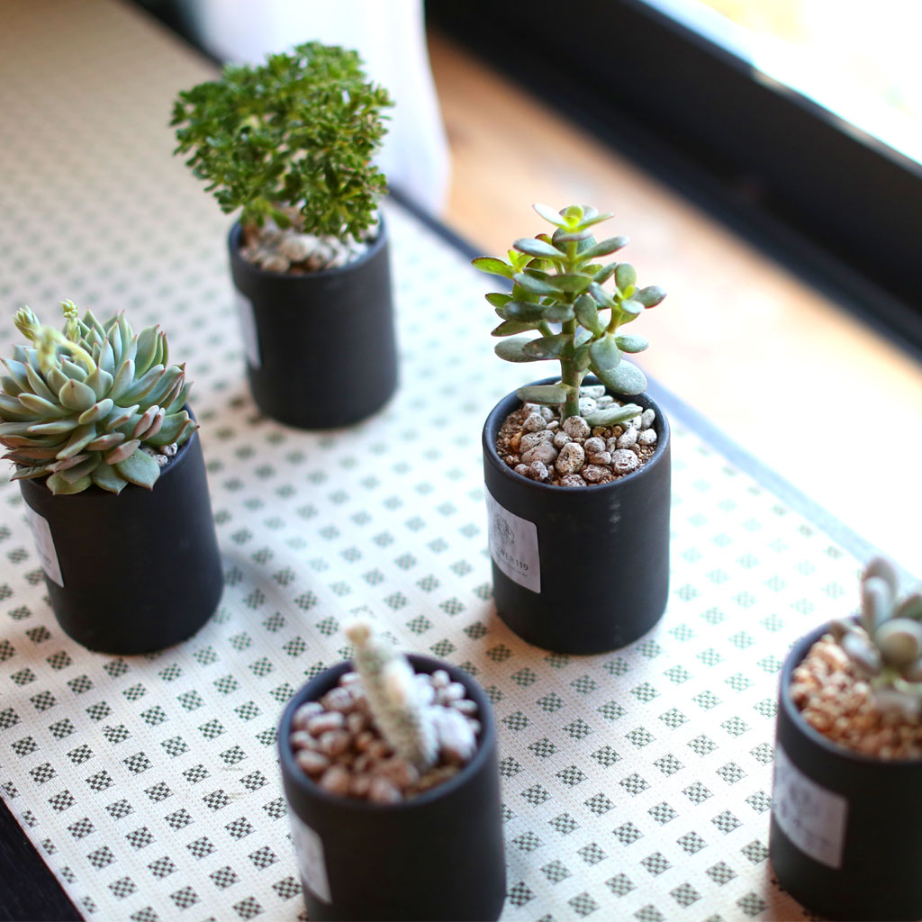 º½,²ÉµéÀÇ ÃàÁ¦ -Spring morning