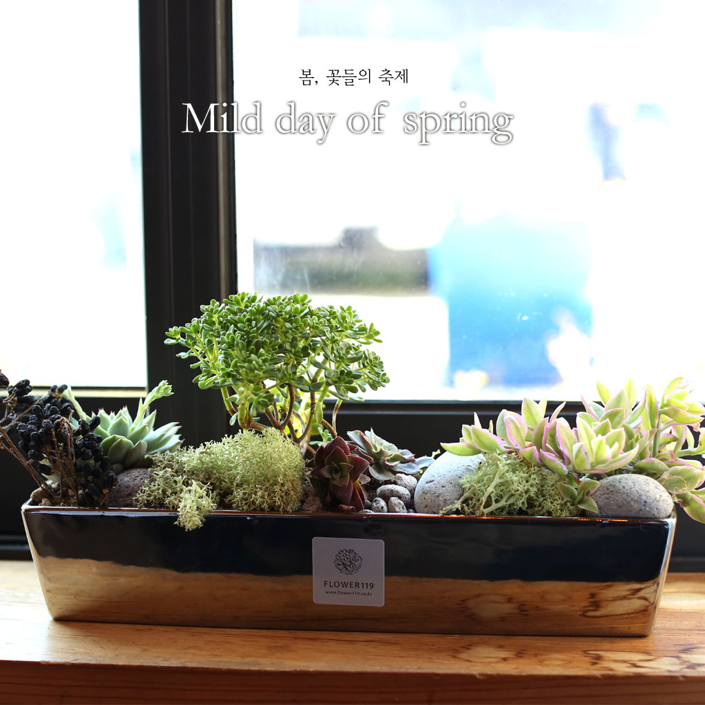 ,ɵ   - Mild day of spring