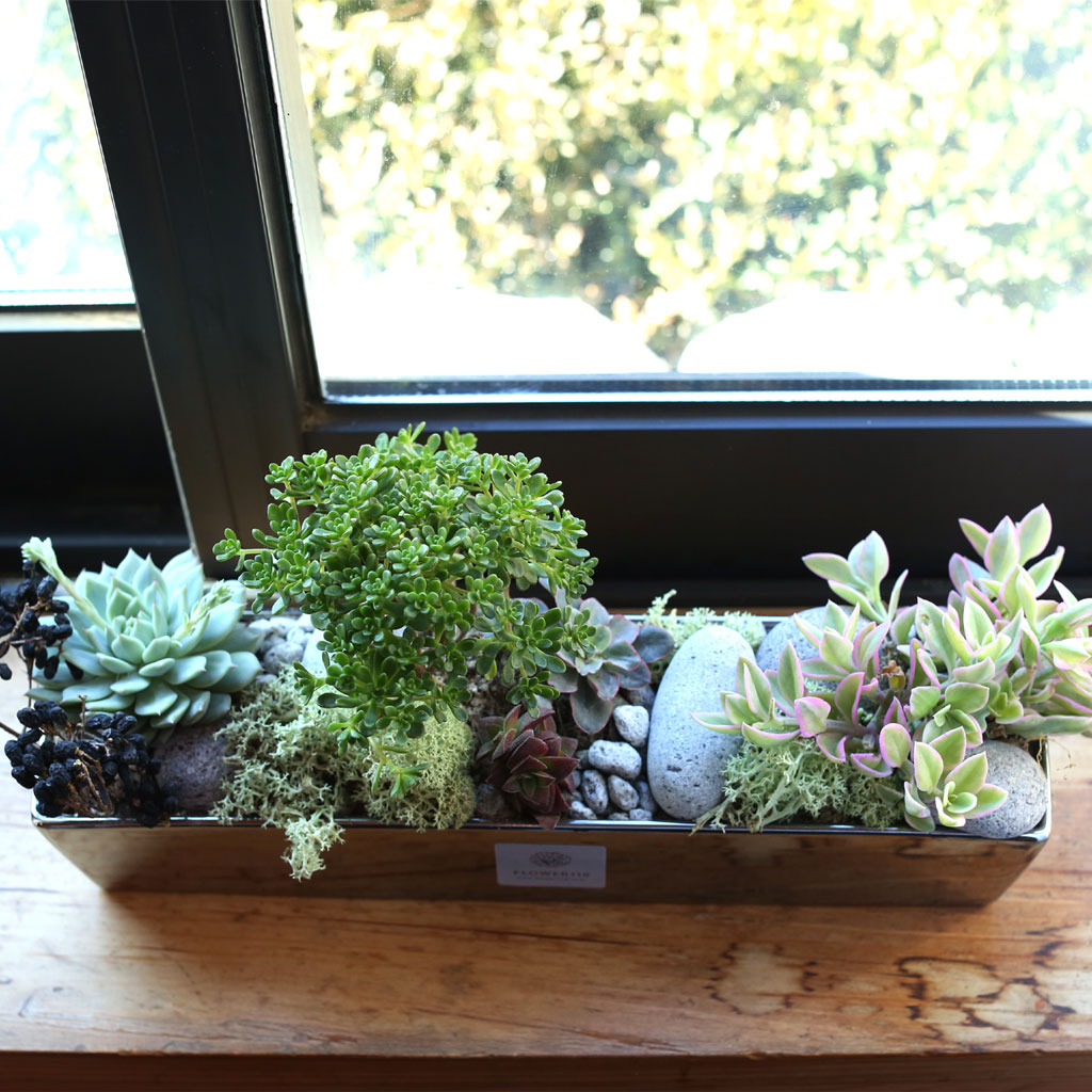 ,ɵ   - Mild day of spring