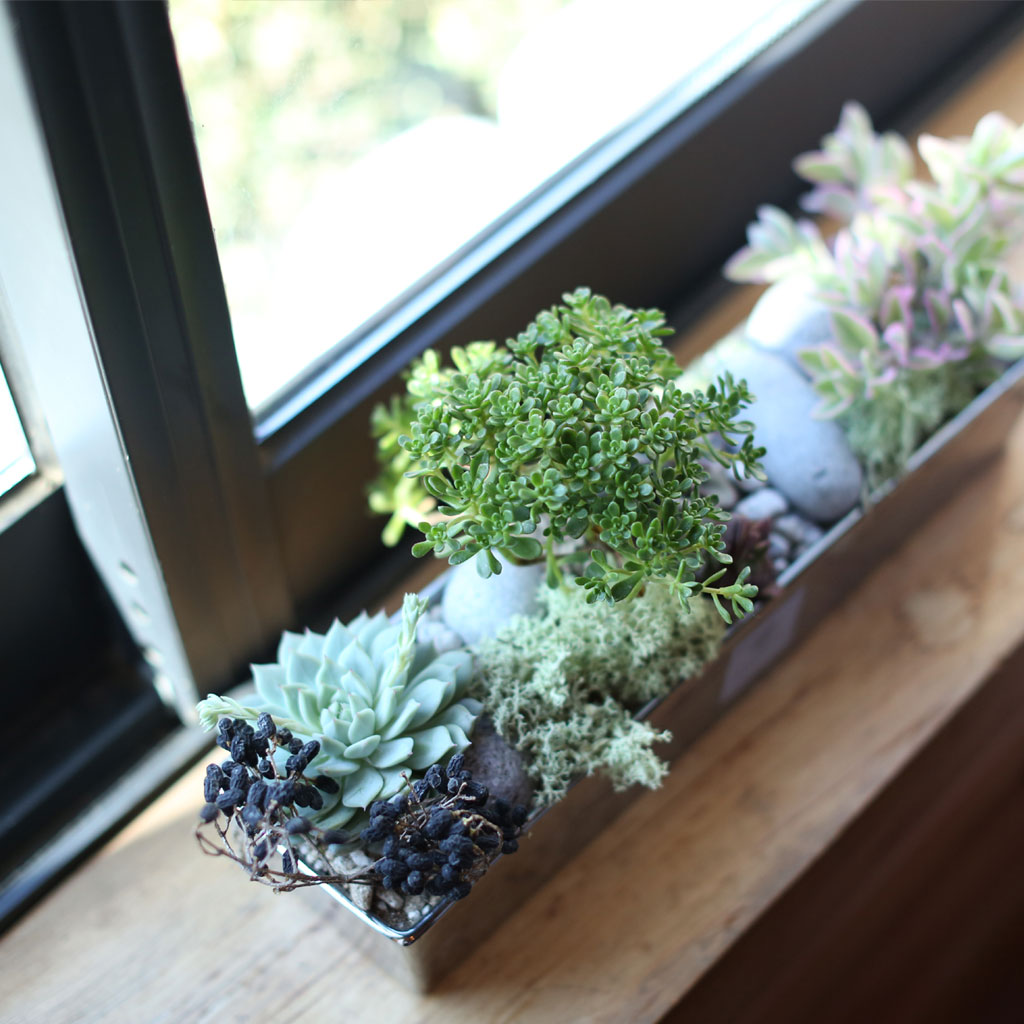 ,ɵ   - Mild day of spring