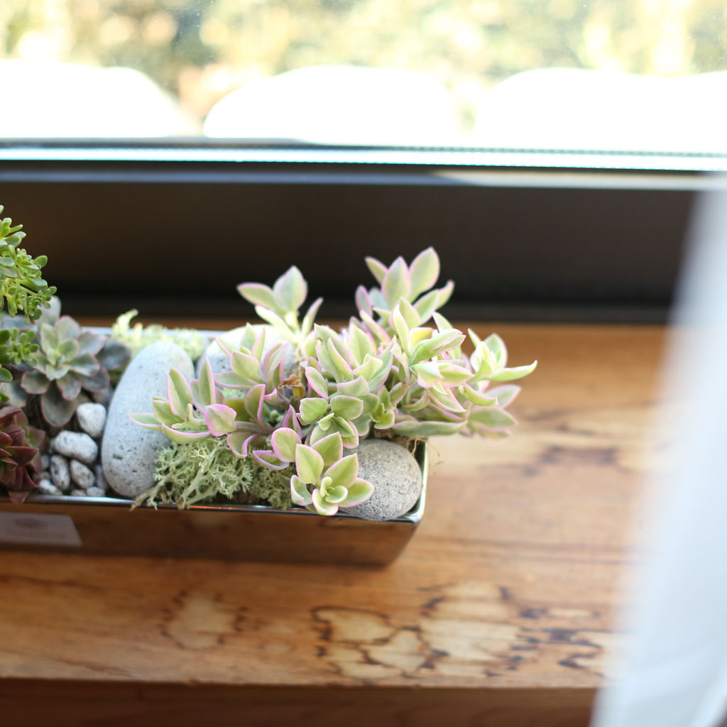 ,ɵ   - Mild day of spring