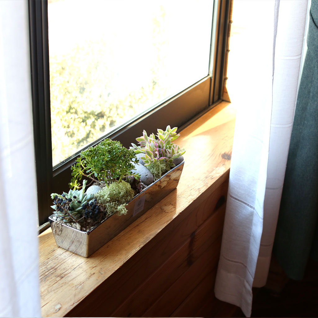 ,ɵ   - Mild day of spring