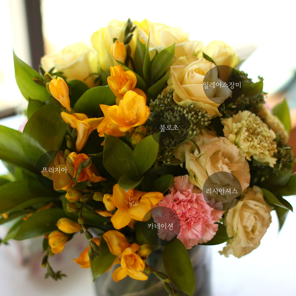 ��,�ɵ��� ����  - The first days of spring ���� �ɹ��