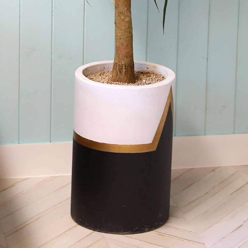 ¸é¿ª·ÂÀ» ±æ·¯ÁÖ´Â - µå¶óÄÚ(*Èò»öȺÐÀ¸·Î º¯°æÁøÇàÇÔ)