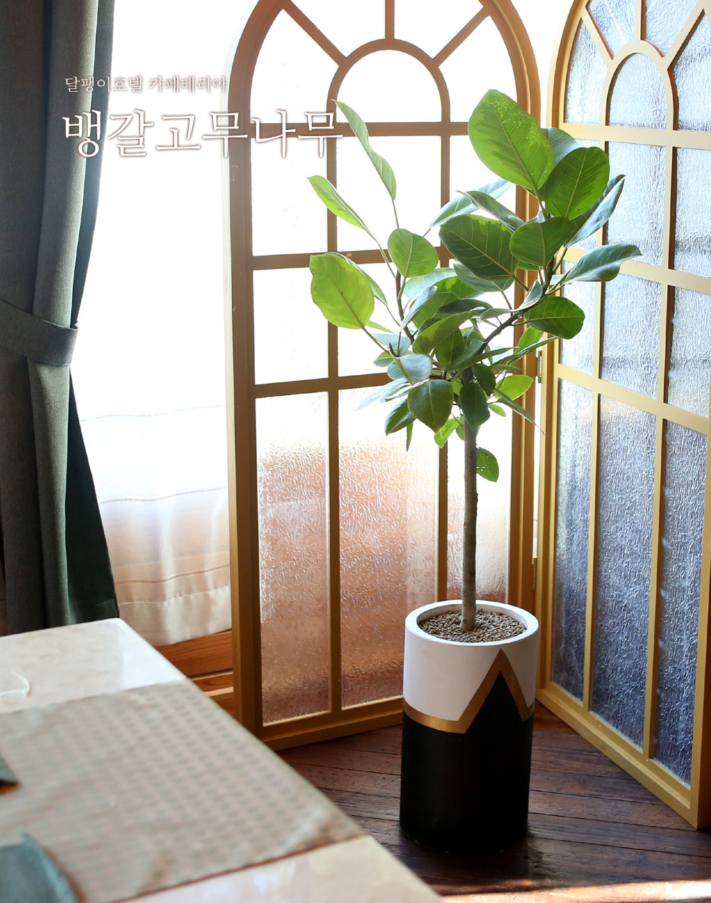  ȣ - 𰥰() [ȭ⺯]  ɹ