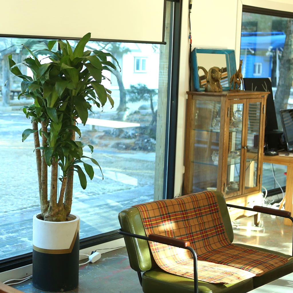 鿪 淯ִ ǳȭ - (* )  ɹ