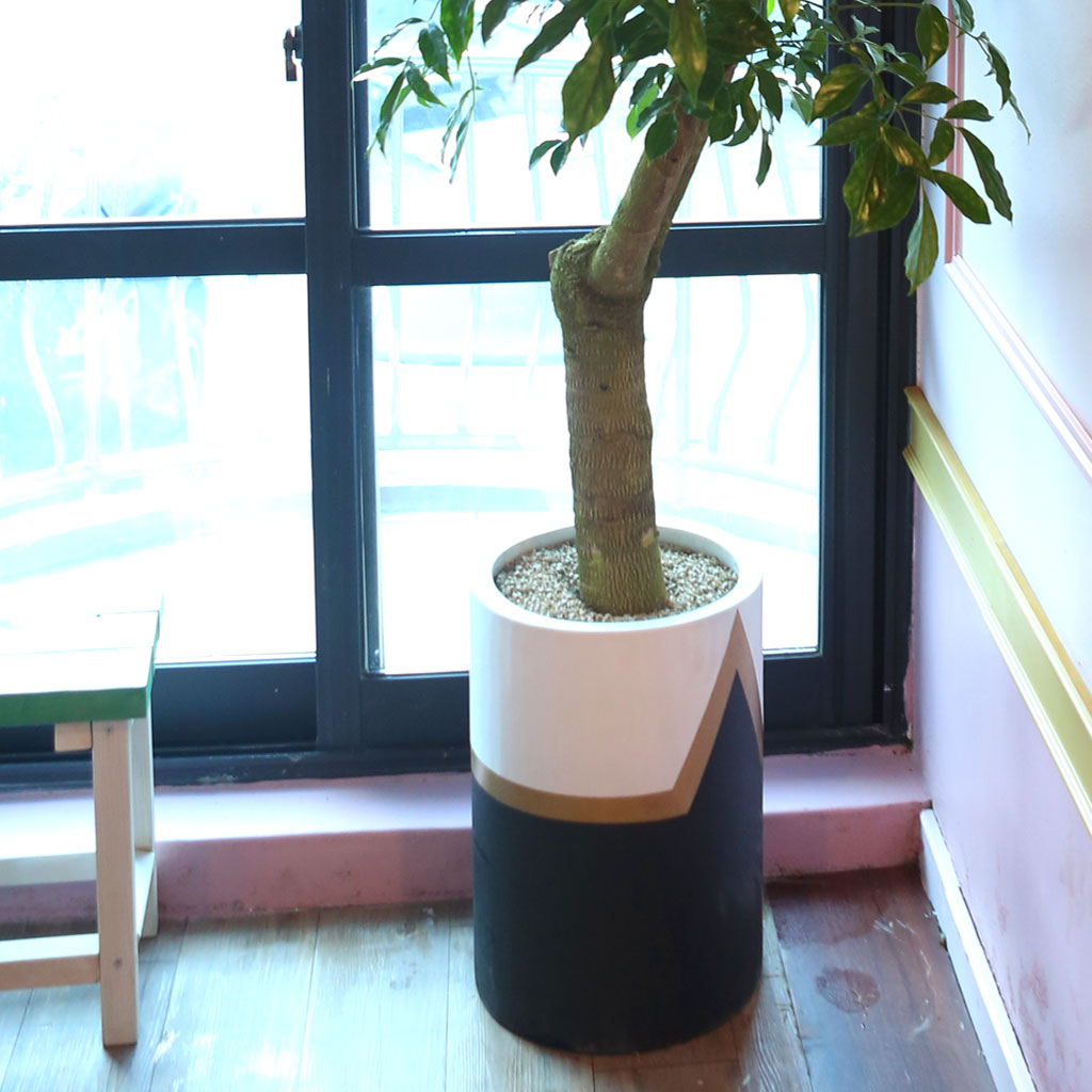 ´ÞÆØÀÌÈ£ÅÚ - ÇØÇÇÆ®¸®(ȺÐÀº ¹«´Ì ¾ø´Â Èò»öÀ̳ª ȸ»öÀ¸·Î º¯°æ)