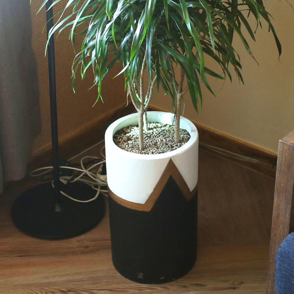 ȣ - ڹ()(*ȭκ)  ɹ