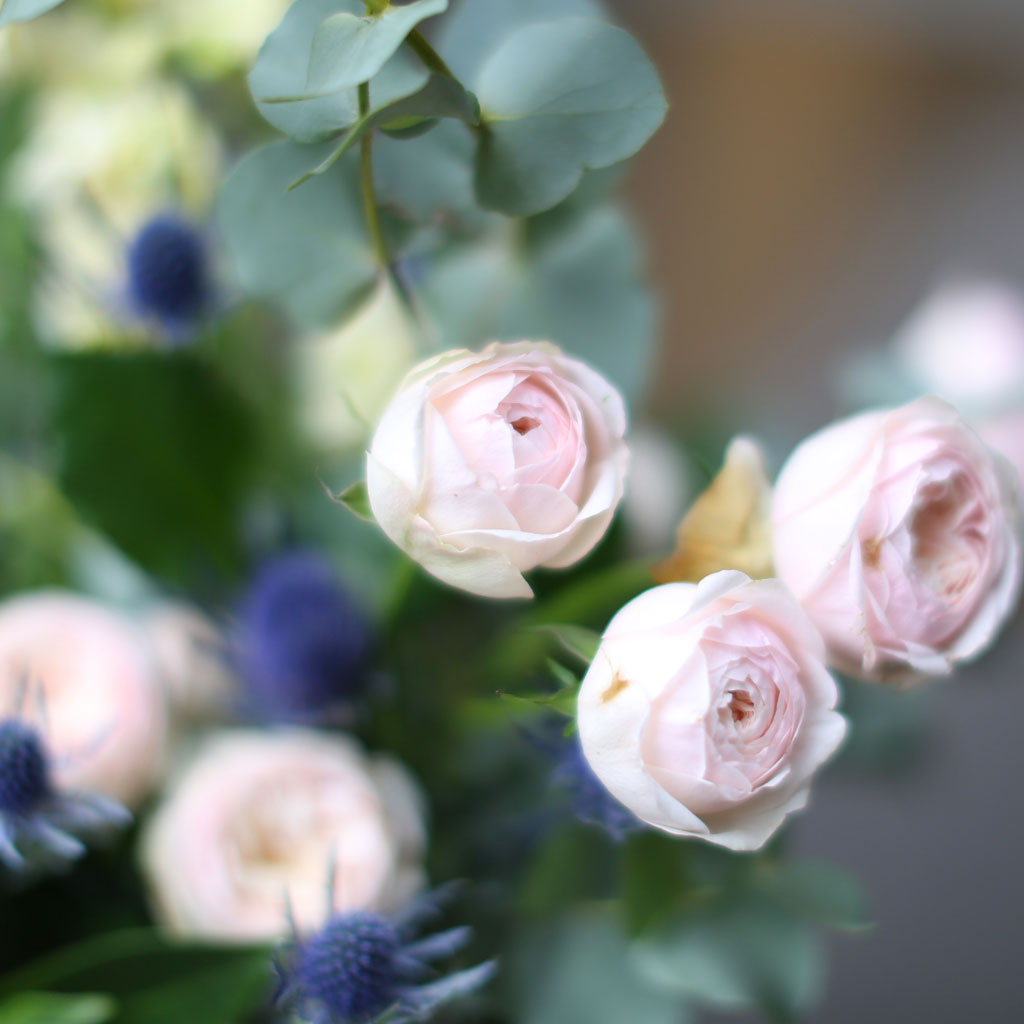 How to say that I love you - Violet eyes(ȭ ǰ   )