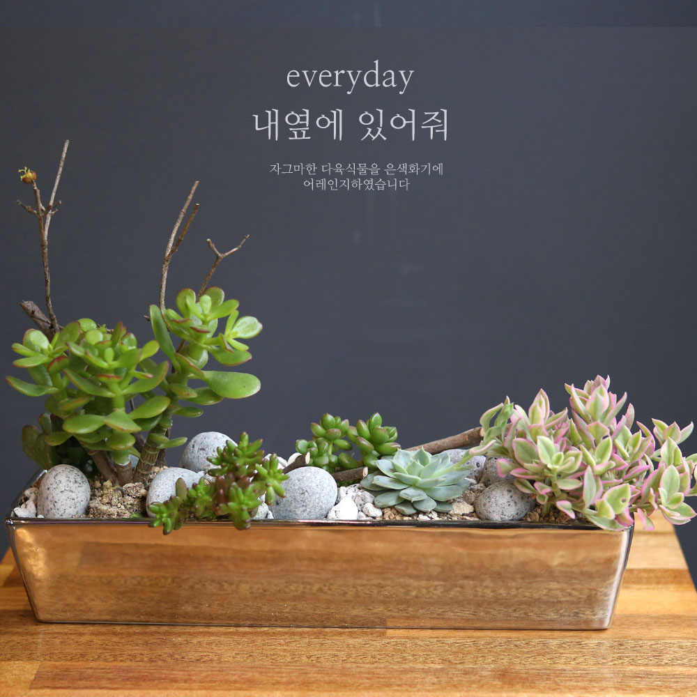Everyday - ���翡 �־��� ���� �ɹ��