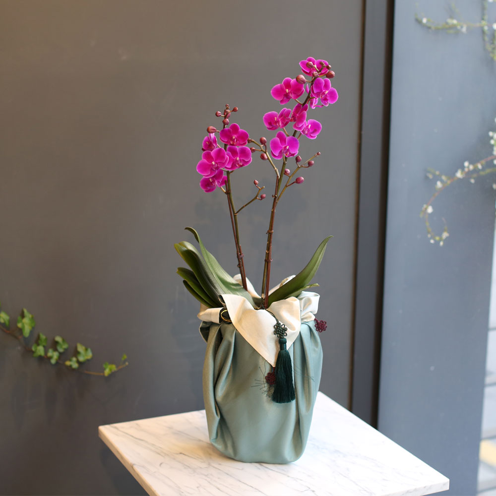 (¼¿ï, ´ë±¸»óǰ)Office & nature - ¸¸ÃµÈ«(º¸ÀÚ±âÆ÷Àå)