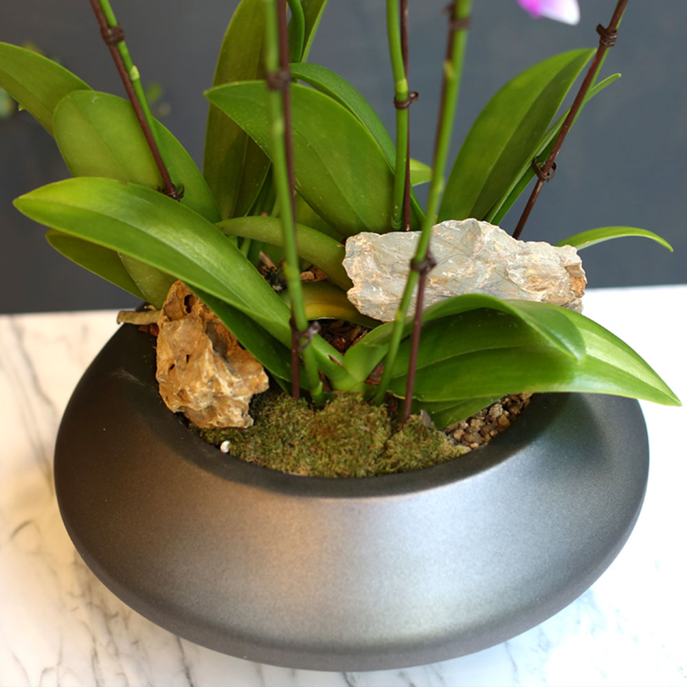 Office & nature - û¼øÇÑ ºñ¹Ùü (Áß) (´ëüµÉ ¼ö ÀÖÀ½)