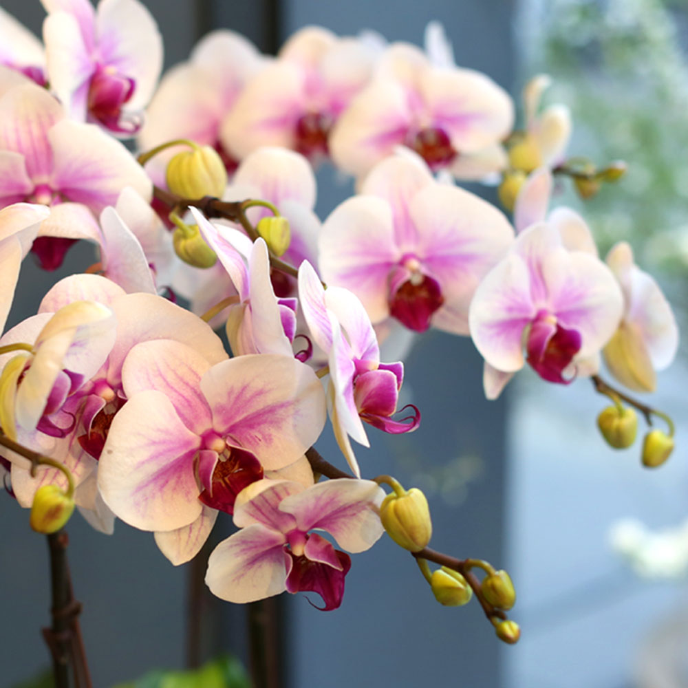 Office & nature - õ Į Ʈ () [ȭ⺯]  ɹ