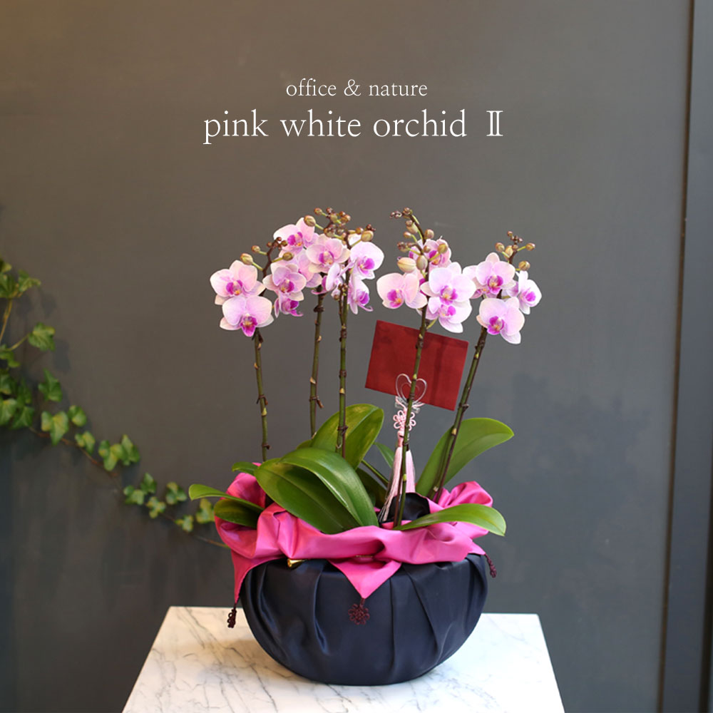 (︸ )Office & nature - (ڱ )