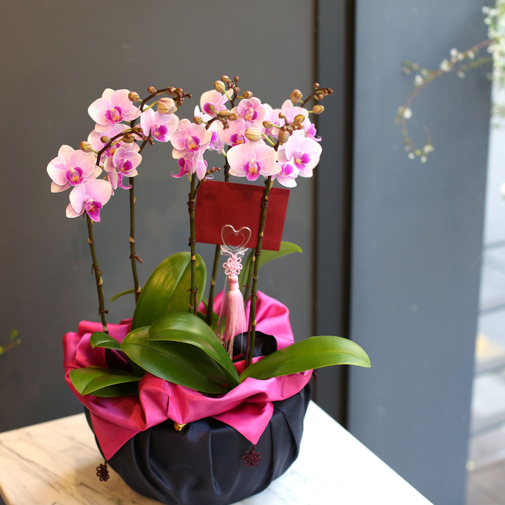 (︸ )Office & nature - (ڱ )