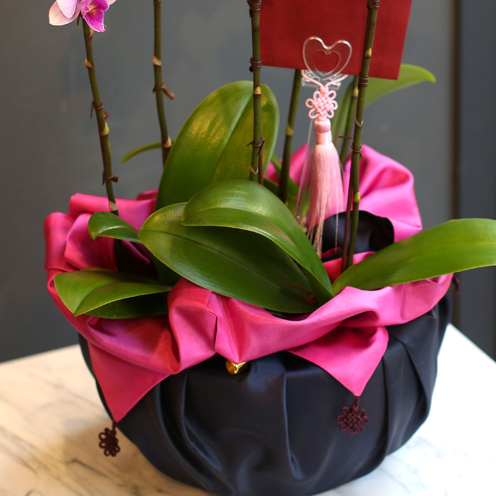 (︸ )Office & nature - (ڱ )