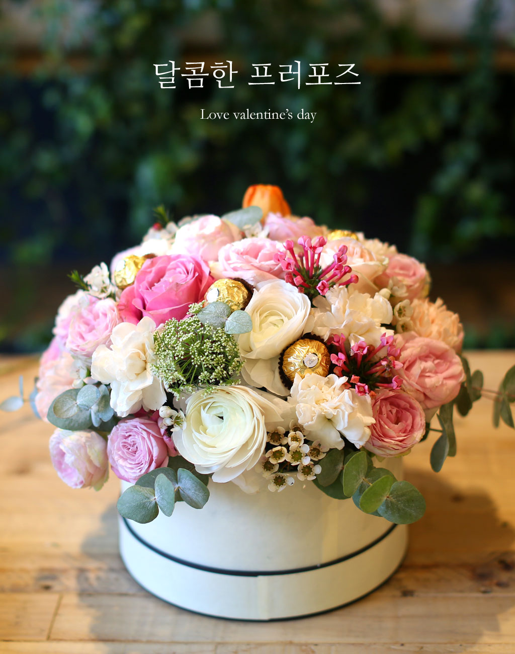 [/ ] (ڽ   ֽϴ)  ɹ