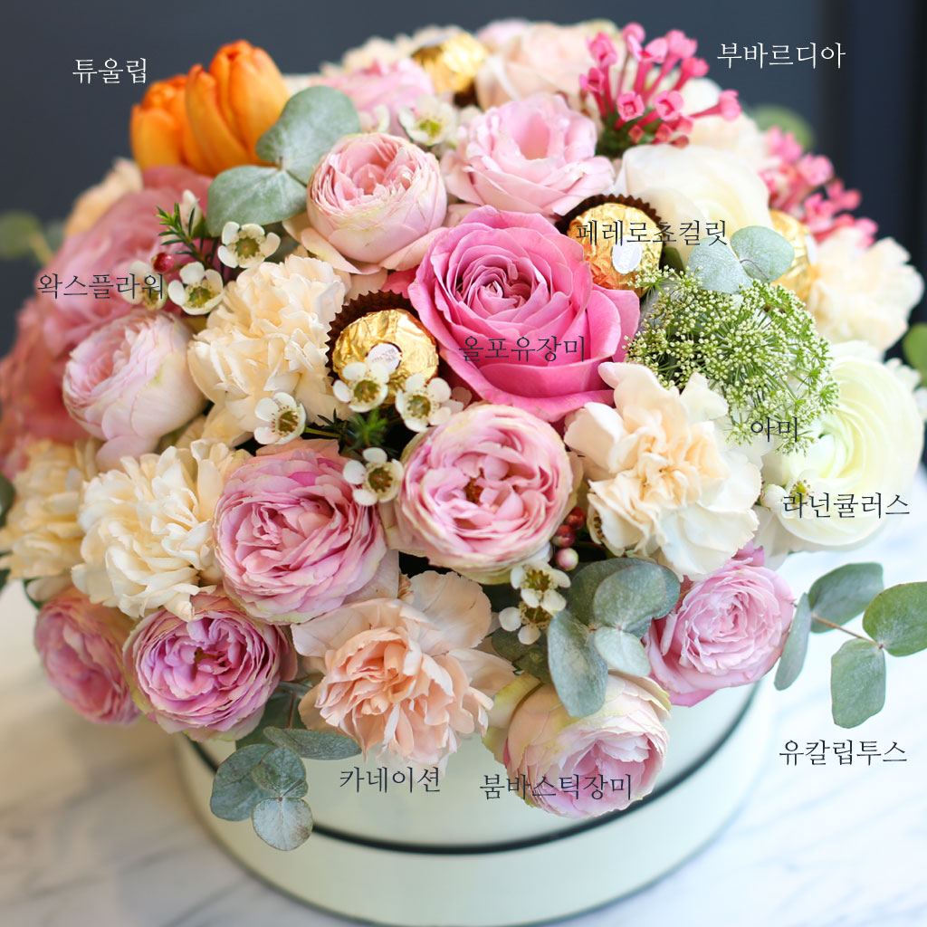 [/ ] (ڽ   ֽϴ)  ɹ