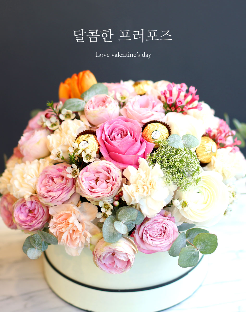 [/ ] (ڽ   ֽϴ)  ɹ