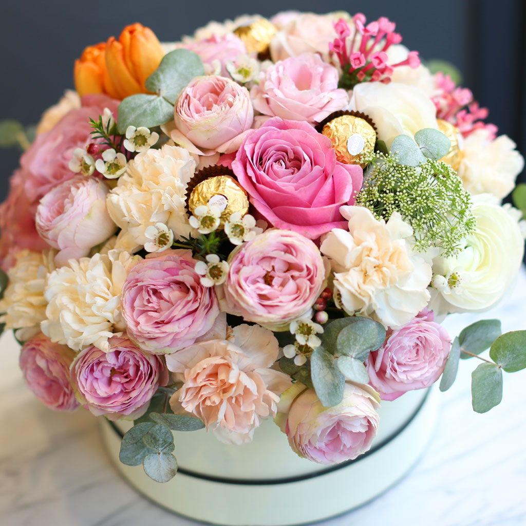 [/ ] (ڽ   ֽϴ)  ɹ