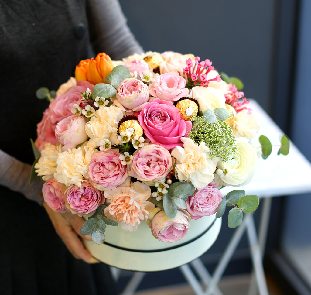 [/ ] (ڽ   ֽϴ)  ɹ